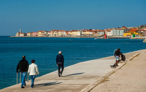 Town of Piran. — Stock Photo, Image