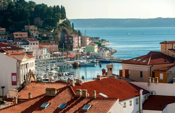 Miasto Piran, Morze Adriatyckie, Słowenia — Zdjęcie stockowe
