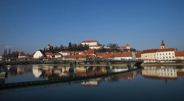 Ptuj stad, Slovenien, Centraleuropa — Stockfoto