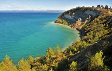 Strunjan cliff, Slovenia