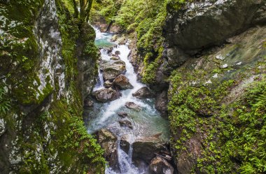 Tolmin gorge, doğa, Slovenya