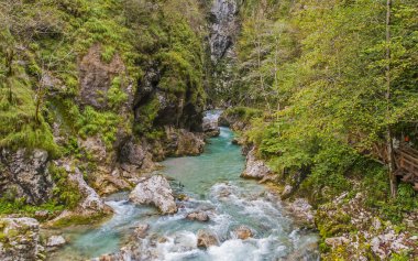 Tolmin gorge, doğa, Slovenya