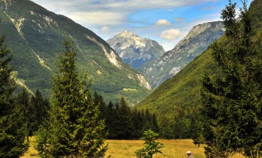Doğa manzara, Sunik su hurst, Slovenya