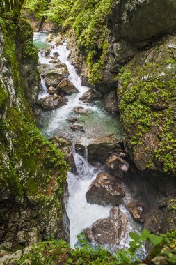 Tolmin gorge, doğa, Slovenya