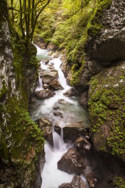 Tolmin gorge, doğa, Slovenya