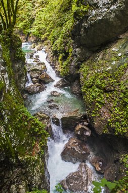 Tolmin gorge, doğa, Slovenya