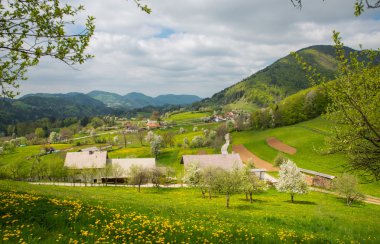 Tuhinj Vadisi, Kamnik, Slovenya