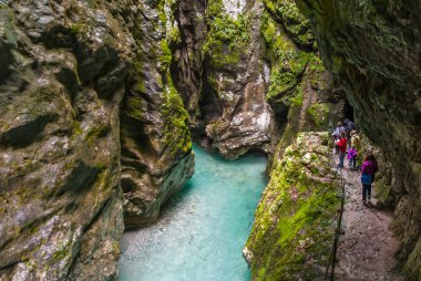 Tolmin gorge, doğa, Slovenya