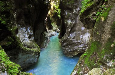 Tolmin gorge, doğa, Slovenya