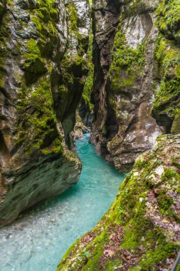 Tolmin gorge, doğa, Slovenya