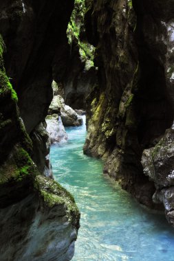 Tolmin gorge, doğa, Slovenya