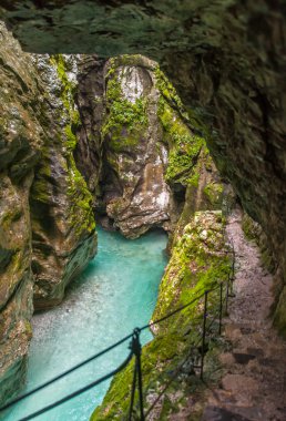 Tolmin gorge, doğa, Slovenya