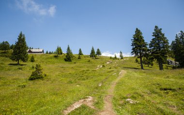  Velika Planina hill, Slovenya