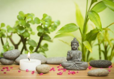 Rahatlatıcı zen Bahçesi