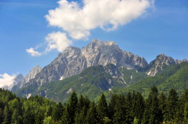 Sava spring, Zelenci, Slovenia