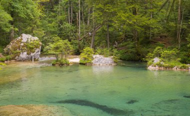 Kamniska Vadisi bistrica, Slovenya