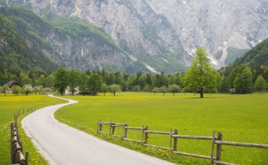 Logarska dolina / Logar Vadisi, Slovenya