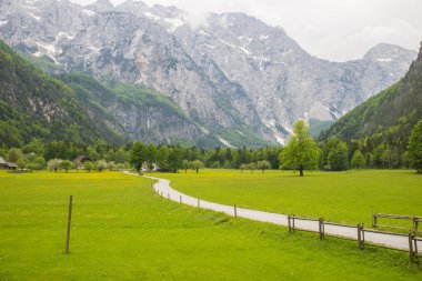 Logarska dolina / Logar Vadisi, Slovenya