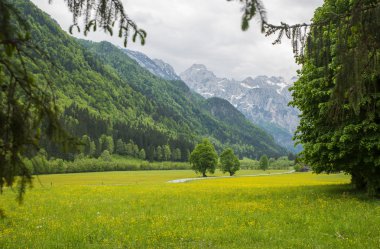 Logarska dolina / Logar Vadisi, Slovenya