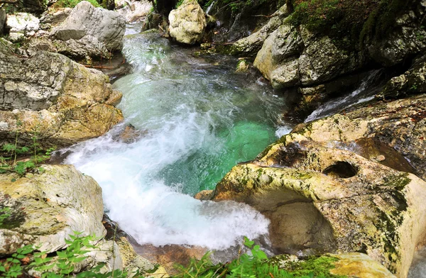 Natureza paisagem, Sunik água hurst, Eslovênia — Fotografia de Stock