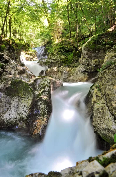 Příroda na šířku, Sunik vodě hurst, Slovinsko — Stock fotografie