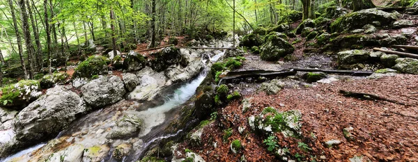 Paysage naturel, Sunik water hurst, Slovénie — Photo