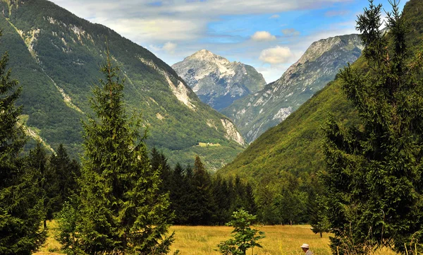 自然景观，苏尼克水赫斯特斯洛文尼亚 — 图库照片