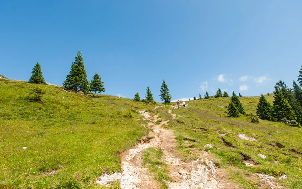 Velika planina hill, Slowenien — Stockfoto