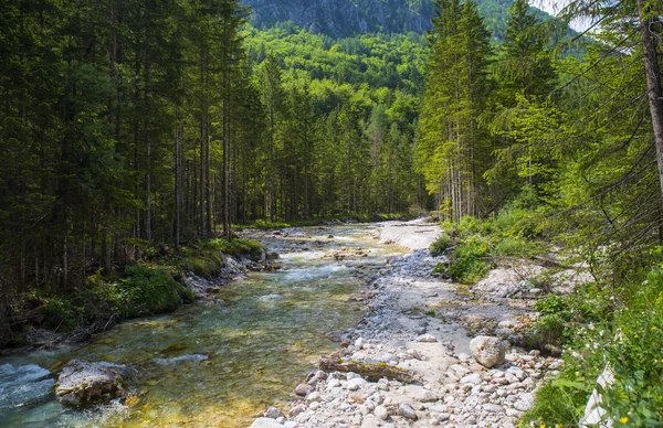 Triglavska bistrica river, Eslovenia —  Fotos de Stock
