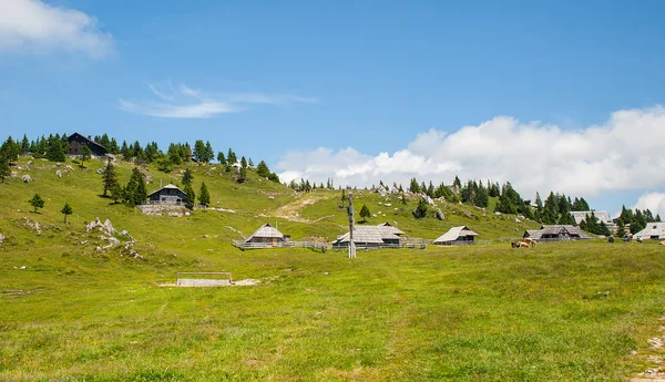 Velika planina hill, Slowenien — Stockfoto