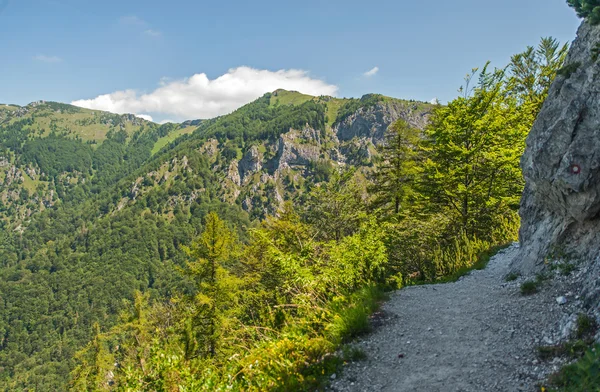 Velika Planina hill, Slovenië — Stockfoto