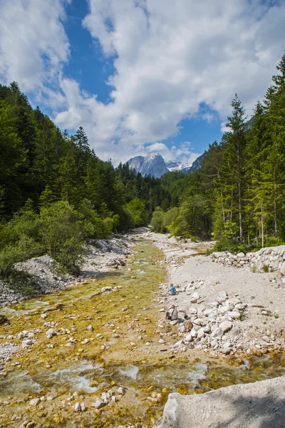 Triglavska bistrica river, Eslovenia — Foto de Stock