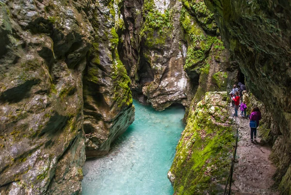 Gorge de Tolmin, nature, Slovénie — Photo