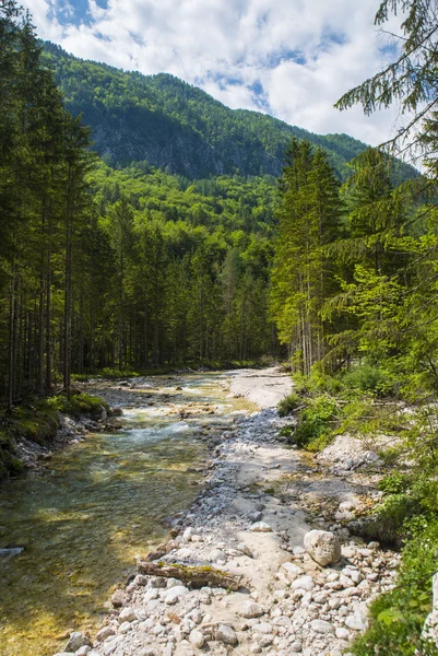 Triglavska bistrica river, Eslovenia — Foto de Stock