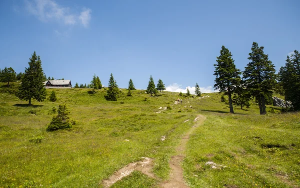 Velika planina hill, Slowenien — Stockfoto