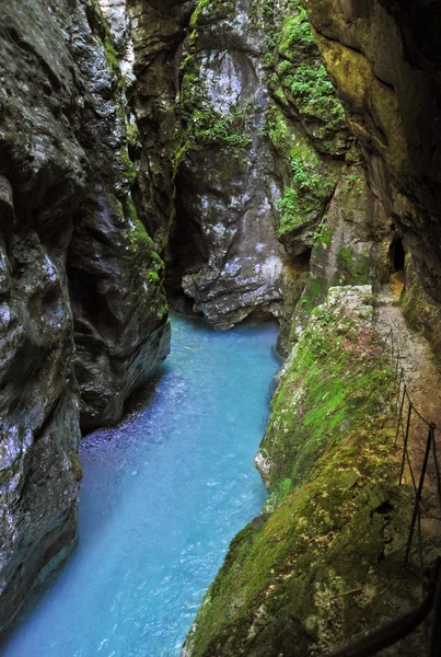 Gorge de Tolmin, nature, Slovénie — Photo