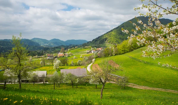 Valle de Tuhinj, Kamnik, Eslovenia —  Fotos de Stock