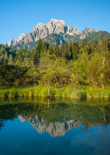 Primavera de Sava, Zelenci, Eslovénia — Fotografia de Stock