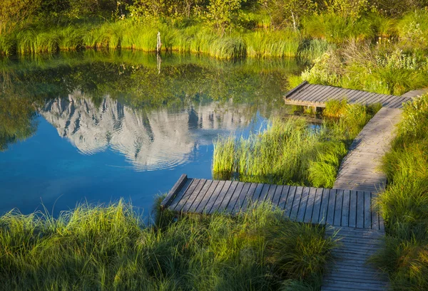 Sava spring, zelenci, Slowenien — Stockfoto