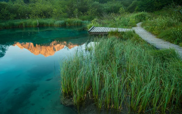 Sava spring, zelenci, Slowenien — Stockfoto