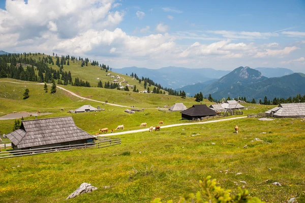 Velika Planina hill, Eslovenia — Foto de Stock