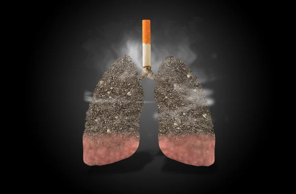 курение. легкие курильщика сигареты. легкие курильщика сигареты. легкие курильщика кальяна. легкие курильщика от электронных сигарет.