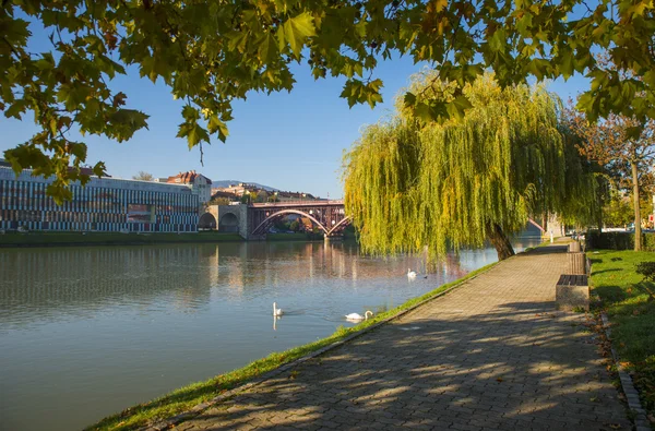 Maribor Stadt, Slowenien — Stockfoto