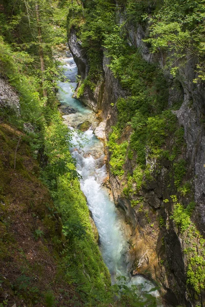 Valle de Kamniska bistrica, Eslovenia — Foto de Stock