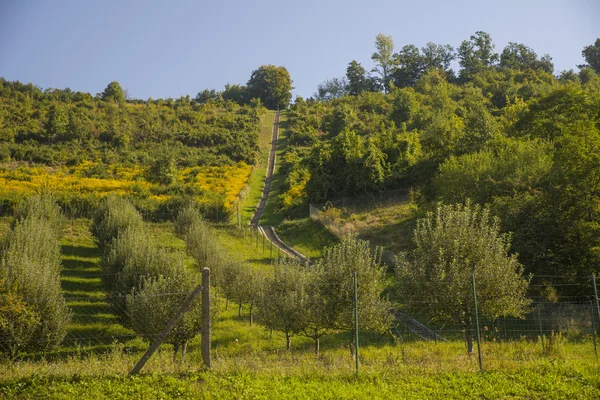 Kalvarija staircase, Maribor, Slovenia — Stock Photo, Image