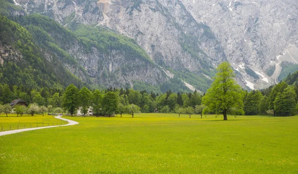 Logarska dolina / logar tal, Slowenien — Stockfoto