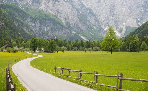 Logarska dolina / Vale do Logar, Eslovénia — Fotografia de Stock