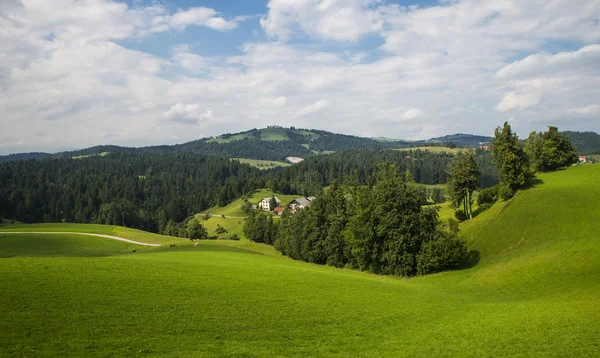 Rovte dorp, Slovenië — Stockfoto