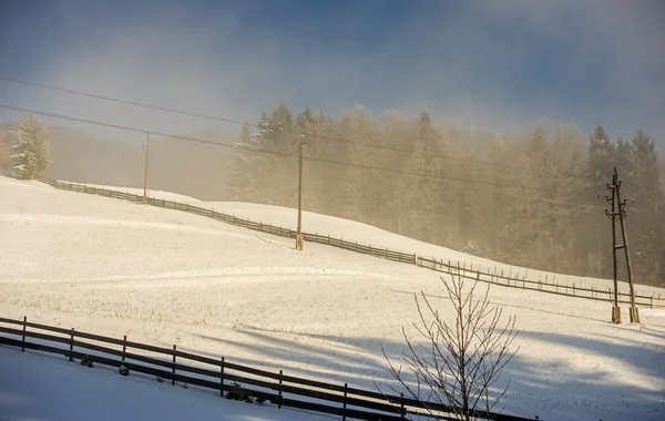 Snöiga Tuhinj valley, Slovenien — Stockfoto