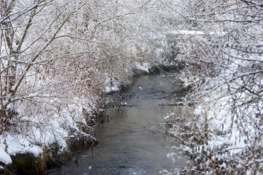 Karlı Tuhinj Vadisi, Slovenya